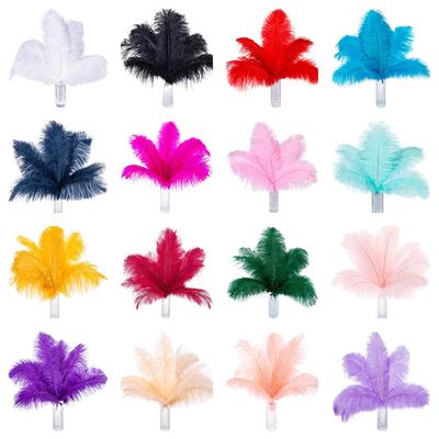 10 ks Pštrosí Peří Chmýří DIY Dekorace Střed Stolu Svatba Šperky Šití Ruční Práce