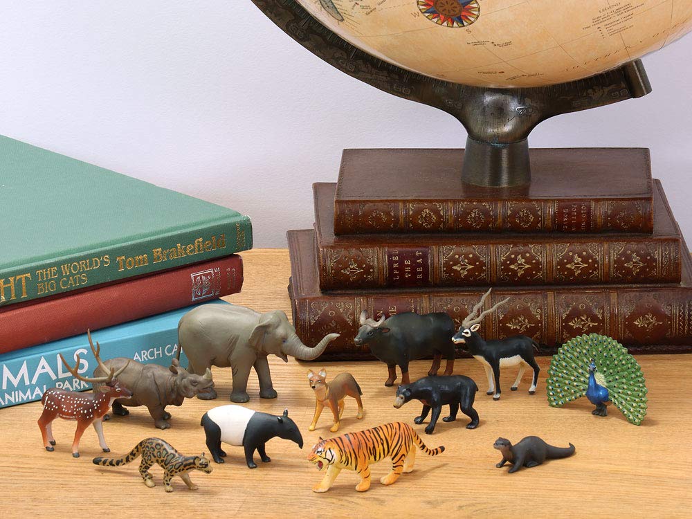 Colorata 3D Animal Encyclopedia Zoogeography Box Oriental Region Real Figure Set 12 Animals with Guide Book