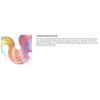 Punky Colour - Pastel Shade Adjustor