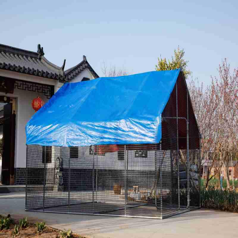 Extra Large Outdoor Chicken Coop & Poultry Cage - Rainproof Home Breeding Shed for Chickens, Pigeons, and Peacocks