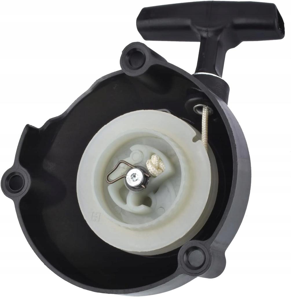 Starter Kit Blower Stihl Br500 Br550 Br600 Br700 German