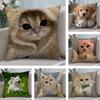 Cute Pet Animal Cushion Cover Soft Plush Fabric Double-Sided Printed Sofa Cushion Cover for All Seasons Home Decor Gift
