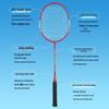 DOUBLE FISH Badminton Racket Set