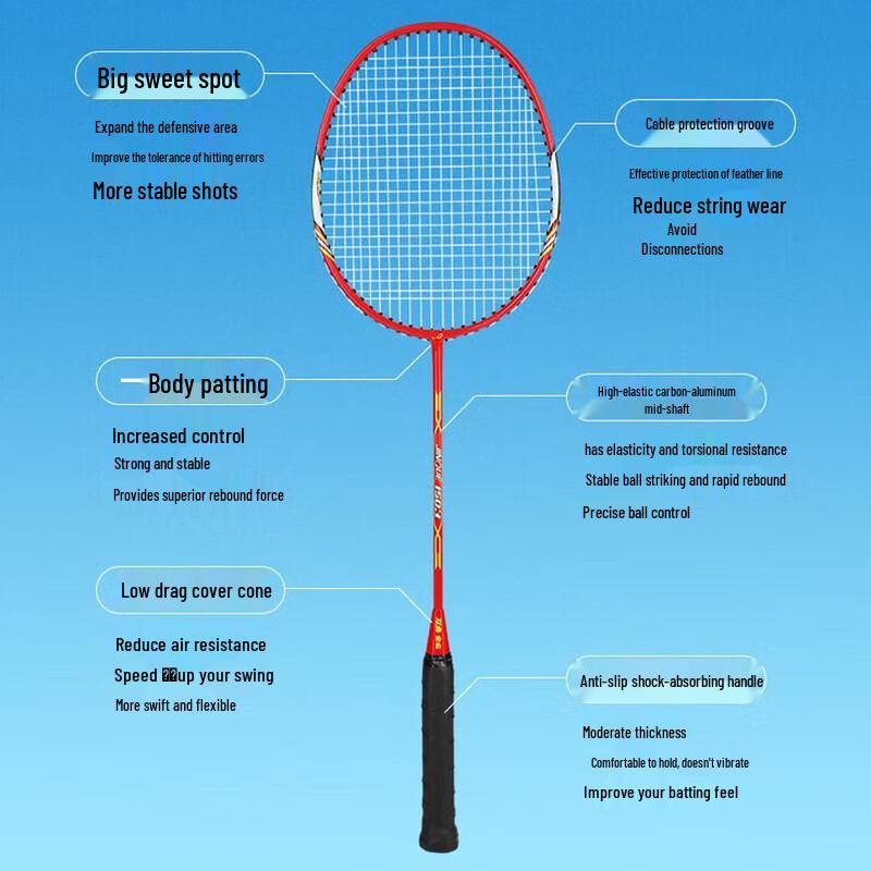 DOUBLE FISH Badminton Racket Set
