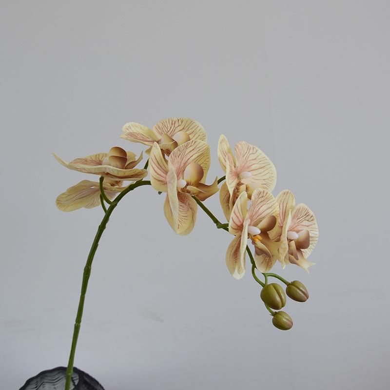 Phalaenopsis Wabi-Sabi Style Artificial Flowers for Home, Wedding, or Hotel Decor