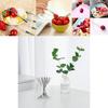 Stainless Steel West Tableware Fruit Forks Elegant Small Sized Snack Cake Dessert Utensils
