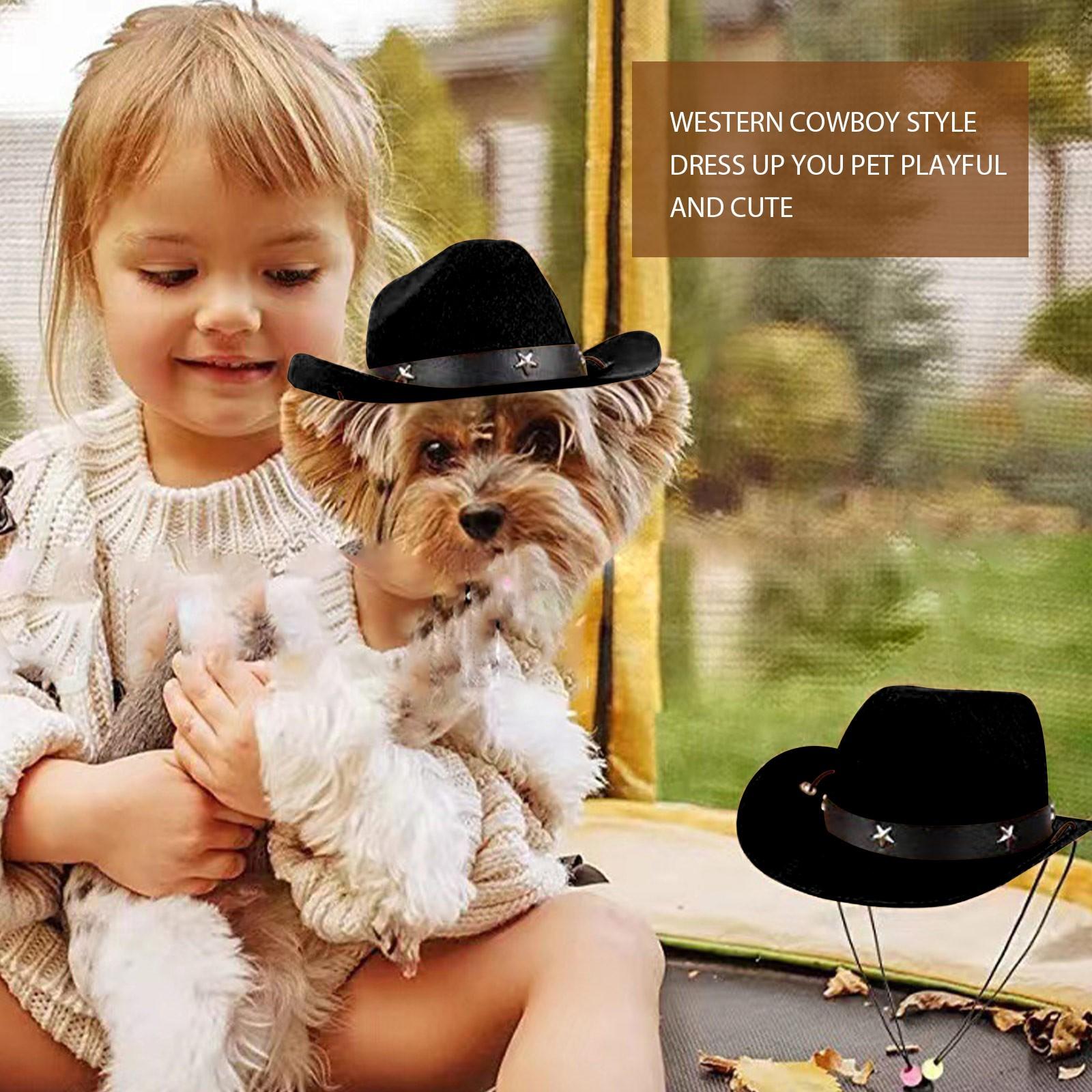 Western Cowboy Hat, Birthday Party Hat, Sunshade And Sunscreen Hat, Mini Pet Hat Cow Costume Dog (Black,One Size) чёрный