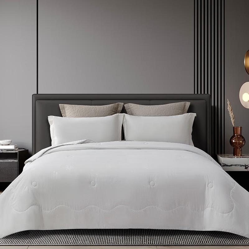 XiFuNi Lanyue Pure Mulberry Silk Quilt