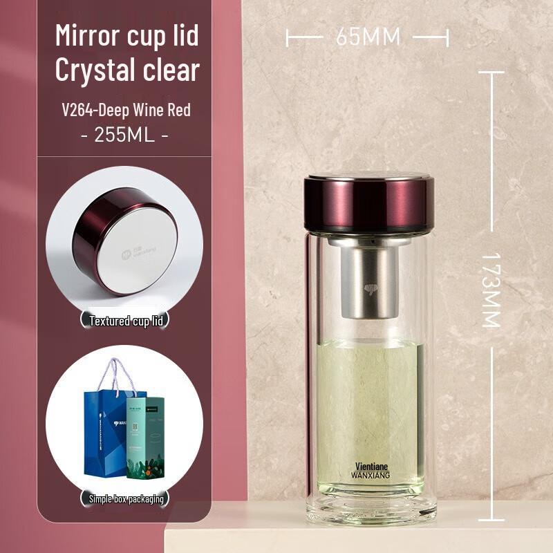 Vientiane Double-layer Glass Mug with Filter