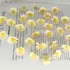 2cm Mini Wild Sunflower Daisy Mori-Style DIY Wreath Accessories