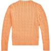 Sweter Polo Ralph Lauren Ss25 Jednolity kolor Okrągły dekolt Długi rękaw Dzianina Sweter dziecięcy Pomarańczowy 313901316-015