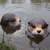 Floating Otters for Pond Yard Floating Pool Decorations Resin Otters Shape Weather Resistant Floating Statue Fish Pond