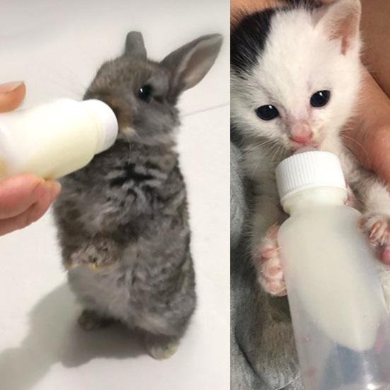 50ml, 120ml Cat Feeding Bottle Soft Head Leak-proof Removable No Odor Pet Kitten Dogs Feeding Bottle for Newborn Pet