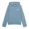 Childrens/Kids Logo Hoodie