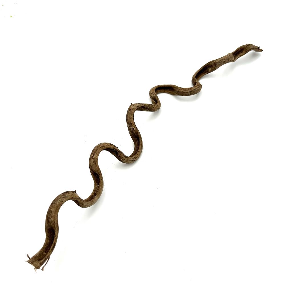 BioThai Liana 2-4cm / 50cm