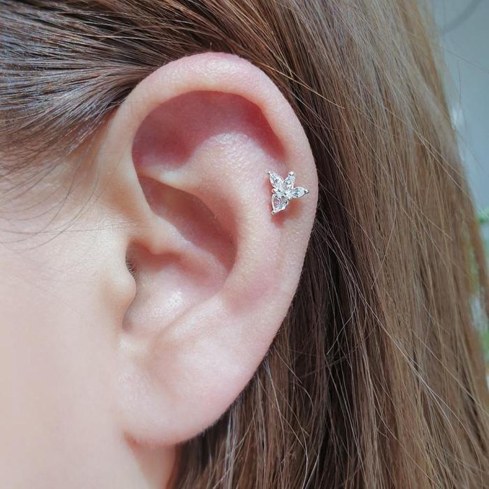 Silver 925 Strawberry Cubic Piercing (S6826502)