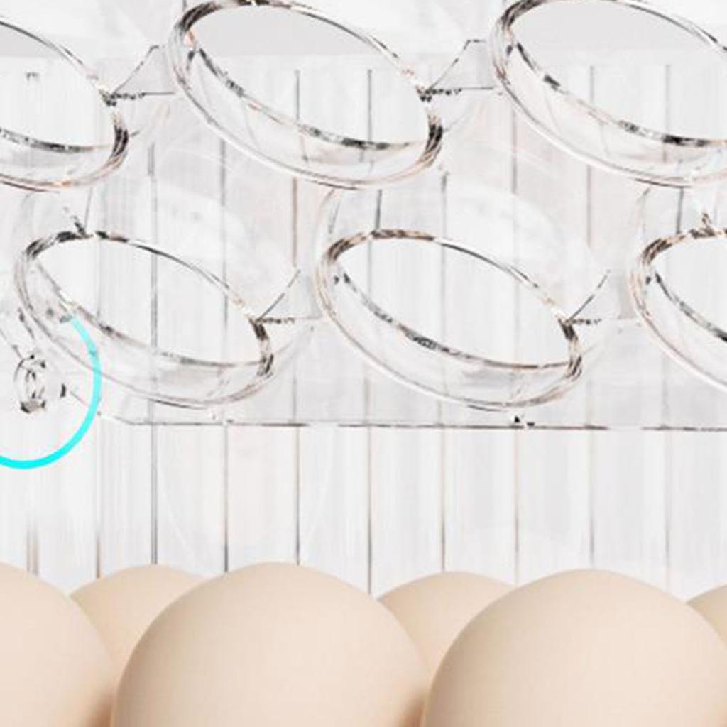 Egg Storage Box For Kitchen Large Capacity Egg Tray With Handle Multi Layer Anti Fall Egg Holder Timing Egg Rack