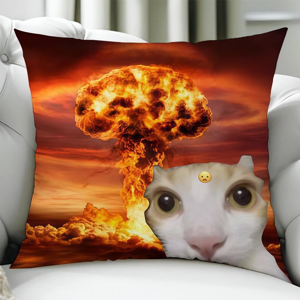 Cat Funny Meme cushion cover Birthday Anniversary Gifts Double Sided Printed Zipper Cushion Cover Soft Skin Bedding