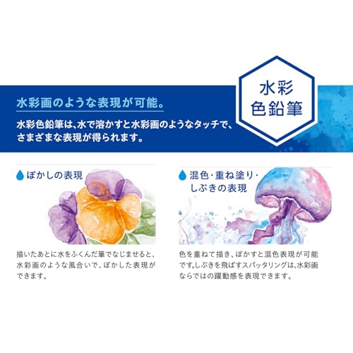 Shachihata Artline Watercolor Pencils, 36 Colors, with Watercolor Brush, KCP-W36C/H