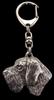German Wirehaired Pointer - Silver-plated Key Ring with a Dog In a Gift Box, Handbag Decoration, Backpack Pendant by Art-Dog Brand
