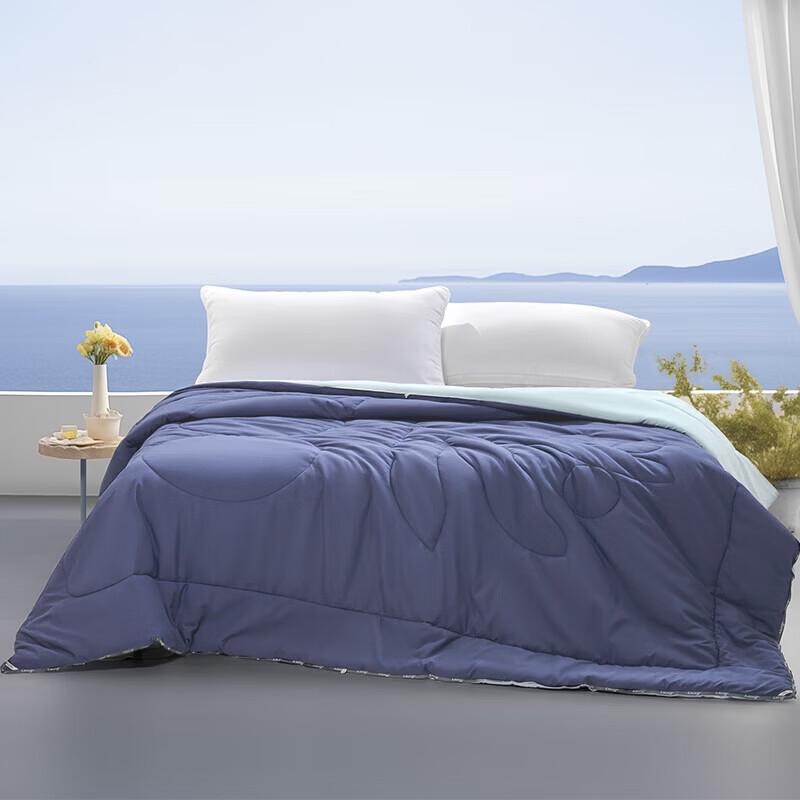 Mercury Home Textiles Washable Antibacterial Soybean Quilt