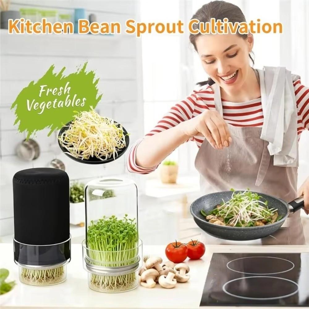 Clear Glass Glass Sprout Growing Set Drain Cover Sprout Growing Container Home Gardeners