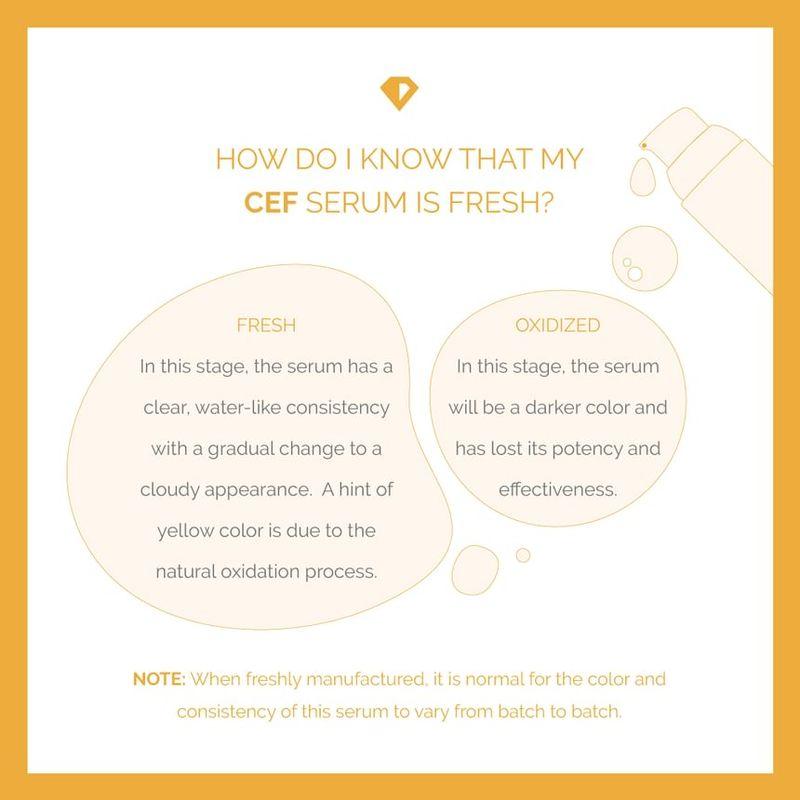 Timeless Hautpflege - 10% Vitamin C + E Ferulasäure Serum