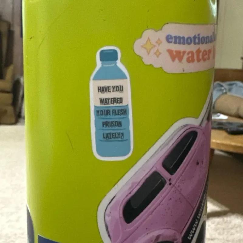 Have You Watered Your Flesh Prison Lately Sticker, Funny Snarky Hydration Sticker, Dark Humor Water Bottle Sticker, Subversive Humor