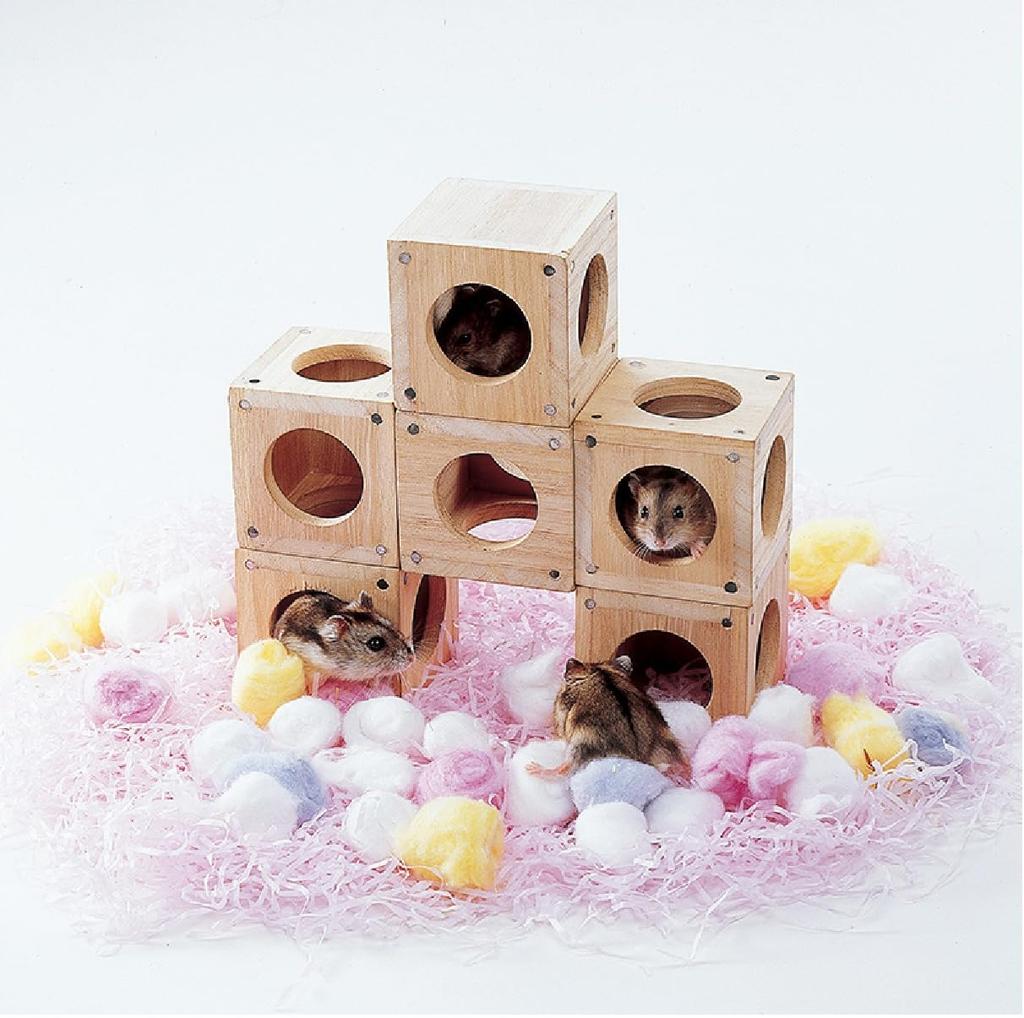 Boîte ludique pour se cacher et jouer pour les petits animaux: Fabriqué en bois naturel sûr. Créez diverses formes avec des aimants. Aide à prévenir la croissance excessive des dents de devant. P