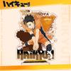 Volleyball Haikyuu 401 Series Acrylic Stand Figure Anime Merchandise Shoyo Hinata Toru Oikawa Kei Tsukishima Bokuto Koutarou