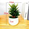 Greenery Small Artificial Bonsai With Plastic Craft For Living Room Gift And