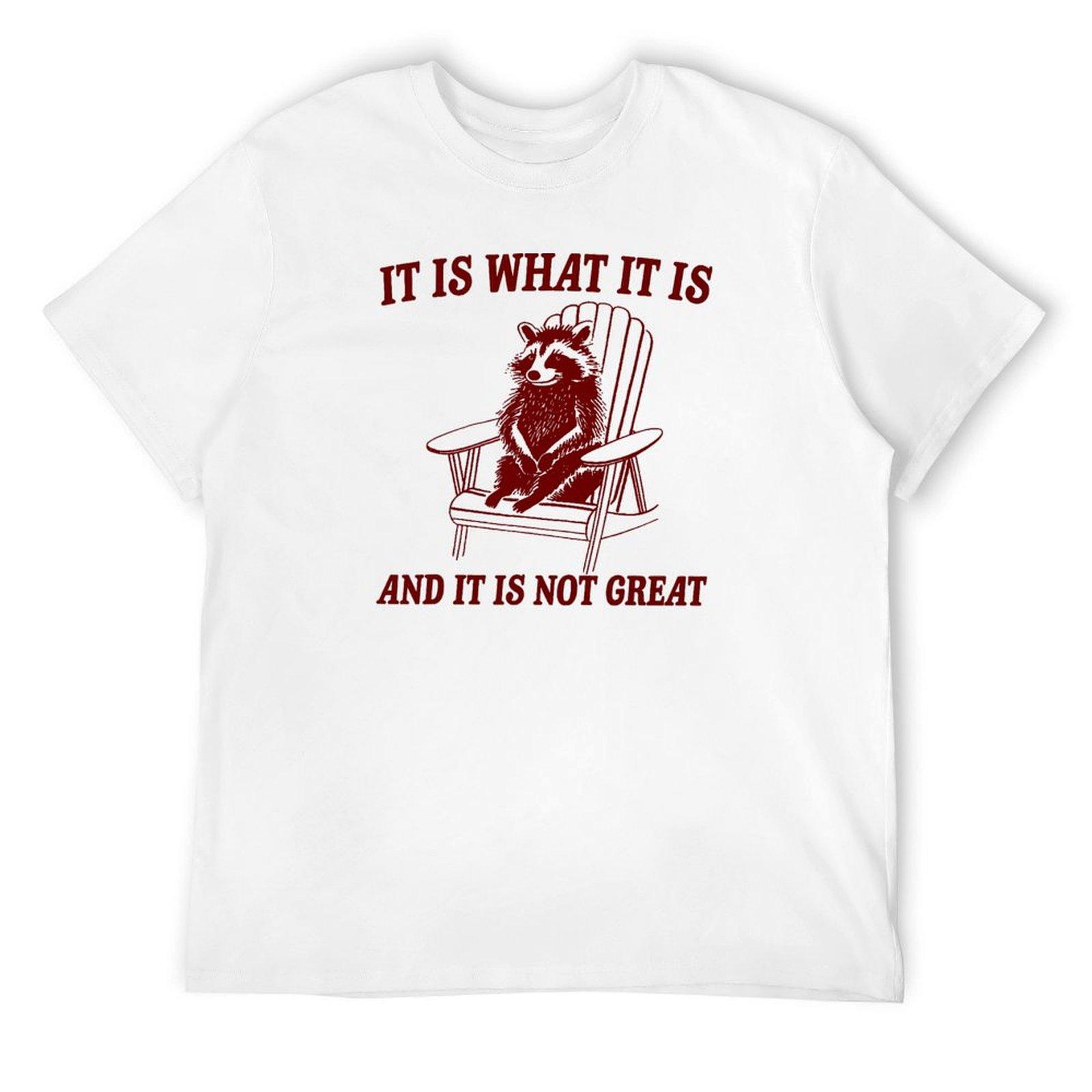 It Is What It Is And It Is Not Great Raccoon meme T-Shirt boys whites anime t shirts blacks mens designer t shirt S