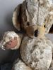 [USED] Large Vintage Cheeky Bear REG Cheeky Bear Vintage Teddy Bear