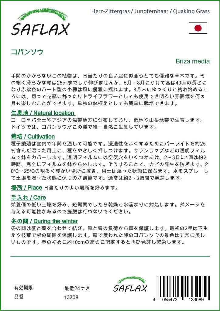 SAFLAX Κήπος στην Σακούλα - Κουφοχορτάρι - 75 σπόροι - Με υπόστρωμα σε κατάλληλη όρθια σακούλα - Briza media