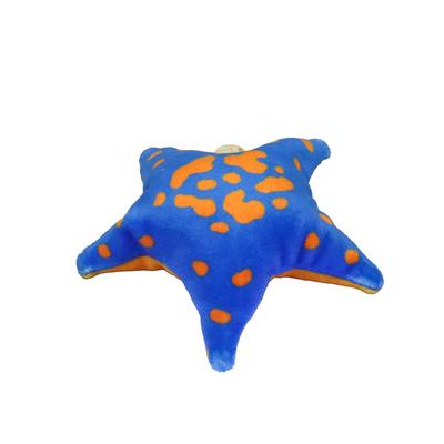 Take Mysterious Touch Pokepuni Starfish Off