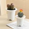 Large Caliber Modular Cactus Flower Pot - Resin Plastic Round Succulent Plant Pot for Home Gardening