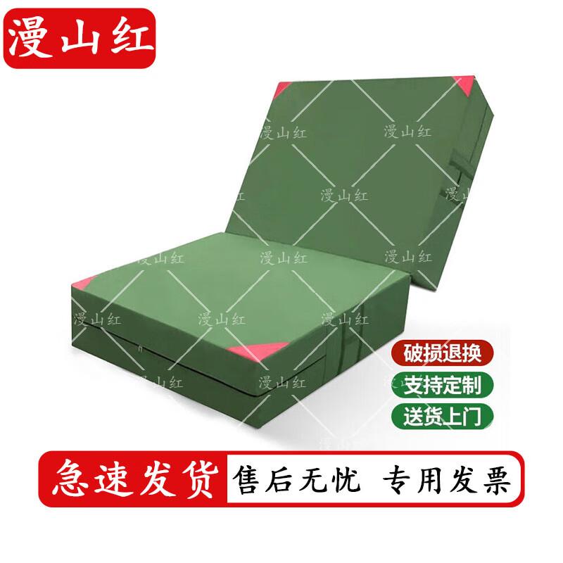 

Foldable Gymnastics and Exercise Mat