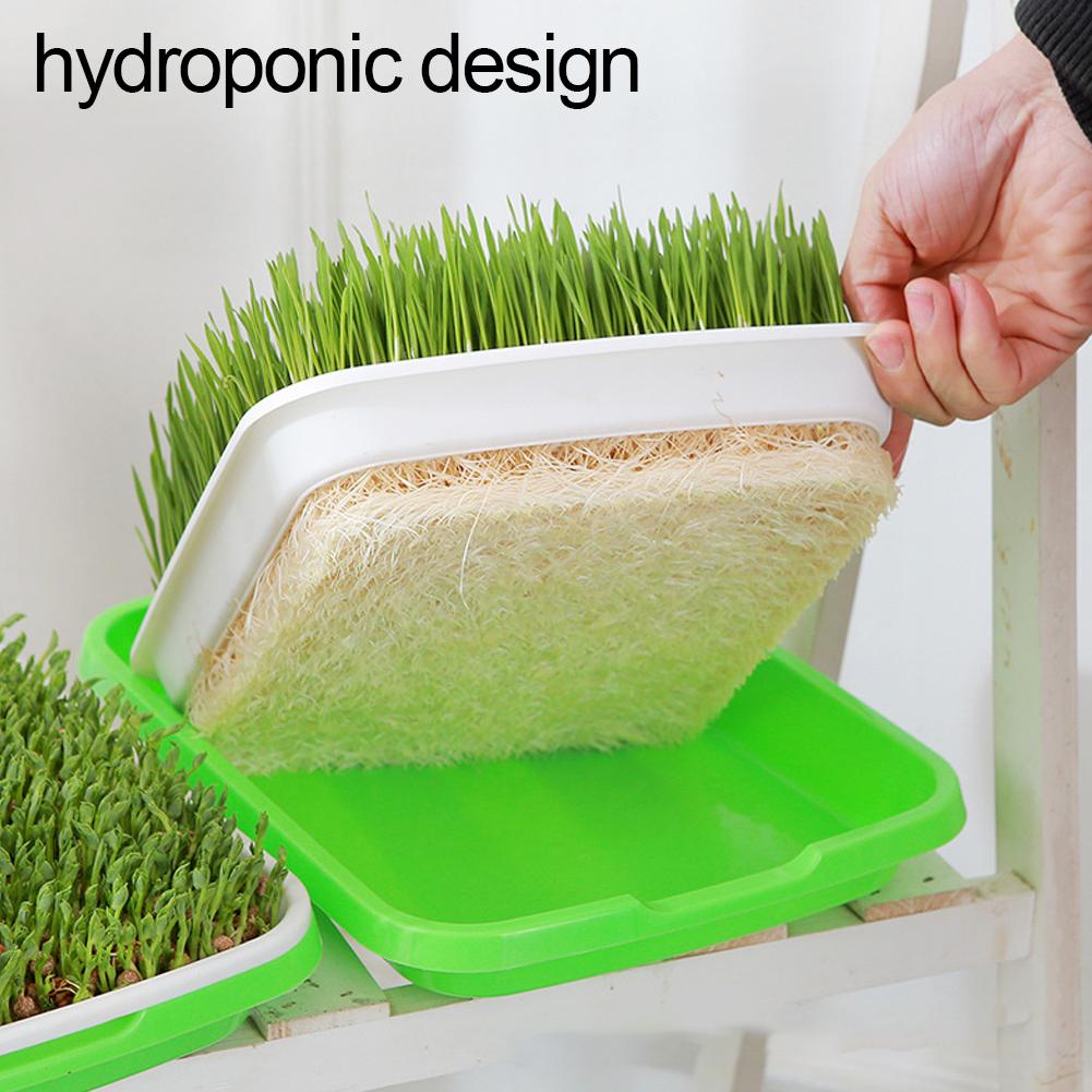 1/3/5/10Pcs Hydroponic Microgreens Sprouter Tray Seed Sprouting Plates Wheatgrass Grower Nursery Trays Home Garden Tools