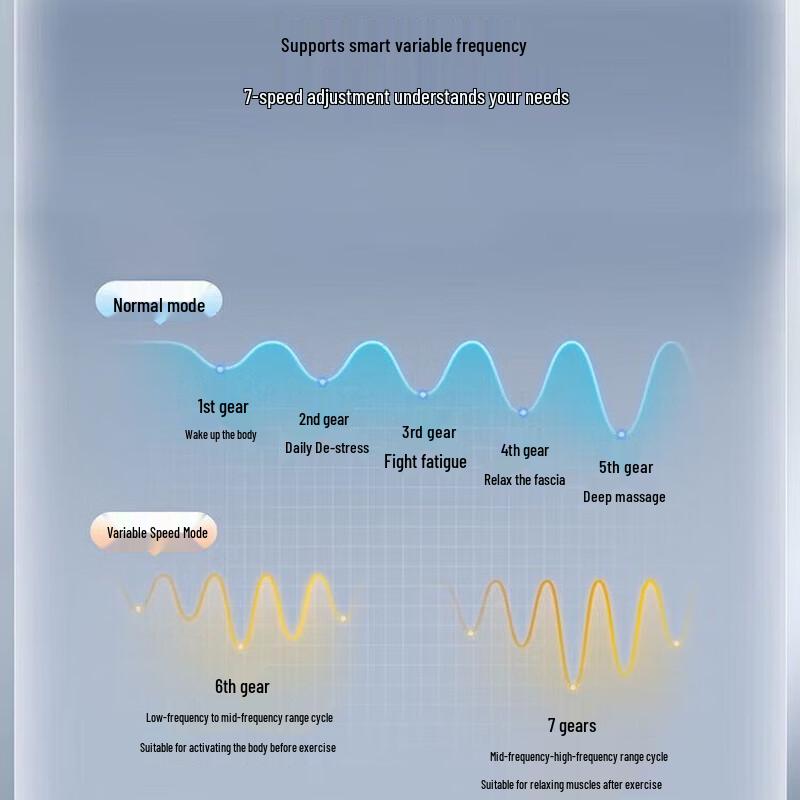 Philips PPM3203G Fascia Gun CN plug (adapter included)