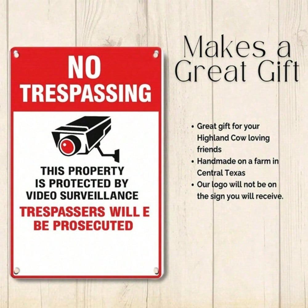 1pc 2D Flat Tin Sign No Trespassing Video Surveillance Retro Metal Plaque, 12x8 Inch Vintage Wall Decor for Home Living Room