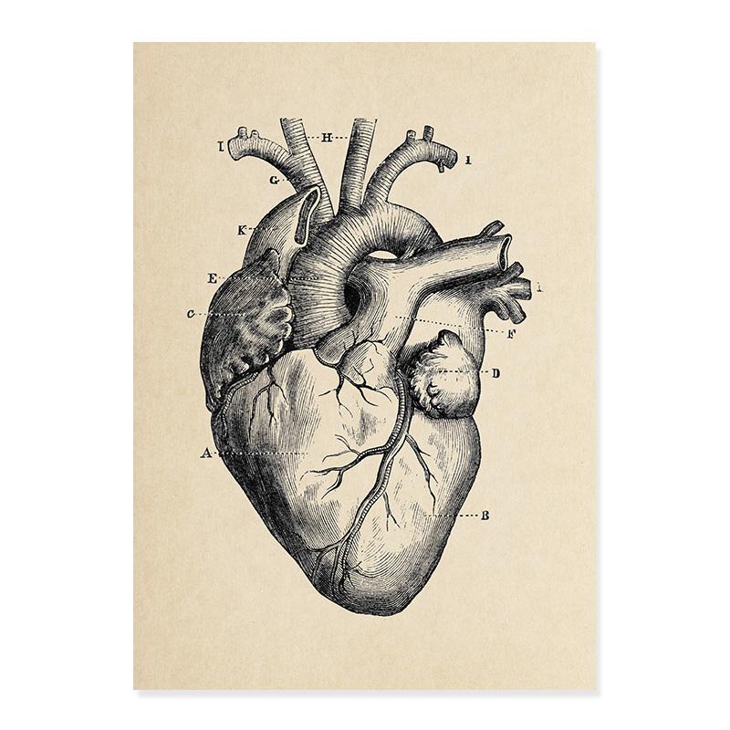 

Винтажный медицинский плакат, человеческий скелет, анатомия, череп, клиника, настенная живопись, холст, картина, печать, фотографии для образования, декор для больницы 30x40cm No Frame