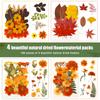 Dried Flower Making Versatile Dried Autumn Flowers Leaf Beautiful Dried Pressed Flowers for DIY Resin Mold Handicraft Enthusiast