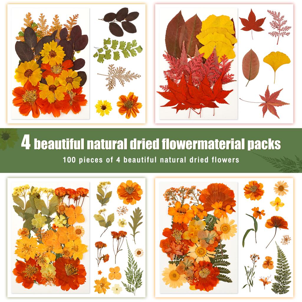 Dried Flower Making Versatile Dried Autumn Flowers Leaf Beautiful Dried Pressed Flowers for DIY Resin Mold Handicraft Enthusiast