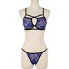 Erotic Lingerie Sets For Women Lace Garters Transparent Bra And Panty Set Female Porno Costumes Deep V Halter Sexy Underwear Set