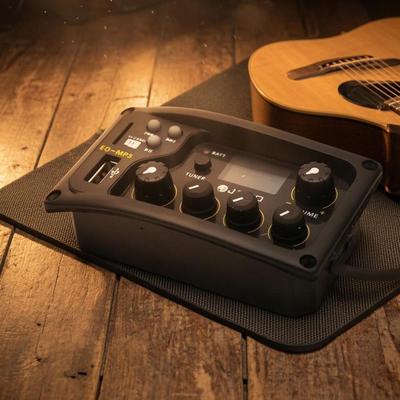 Guitar Preamp Audio Modifier Tuner Rotary Knobs Pickup Display Window Musical