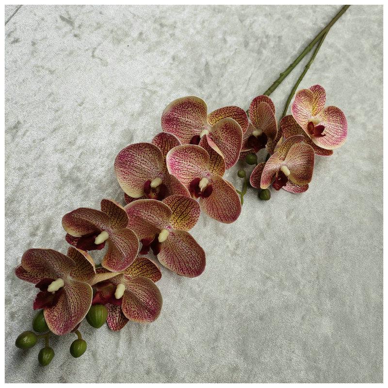 Artificial 3d Printed Butterfly Orchid With Realistic Texture For Wedding Decor And Home Use