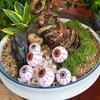 6Pcs Halloween Eyeball Ornaments Resin Realistic Eyeballs Spooky Eyeball Decorations for Potted Plants DIY Craft Horror Themed Party Decoration