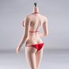 Scale Female Action Figure Slim Seamless Action Figure Flexible Female Figure Body Model with 5 Pairs of Detachable Hands 1/6 Body, 12-inch Body,