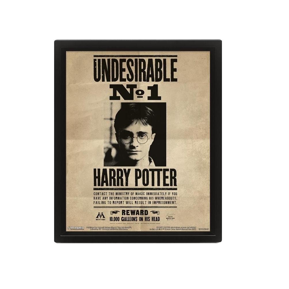 HARRY POTTER 3D Framed Poster