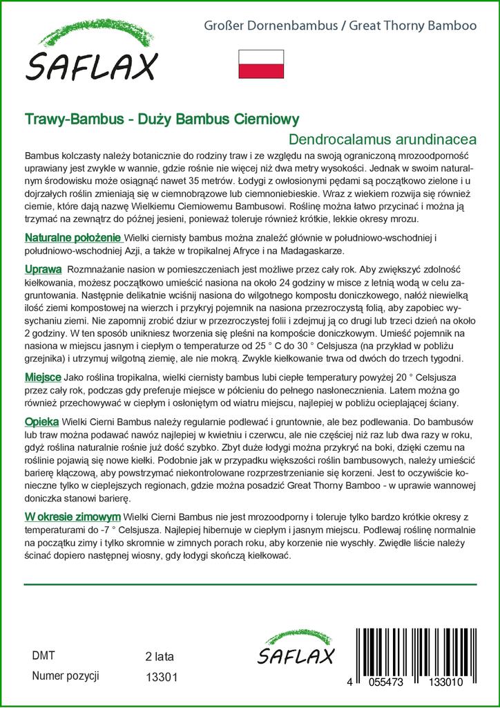 SAFLAX Grande Bambu Espinhoso - 50 sementes - Dendrocalamus arundinacea